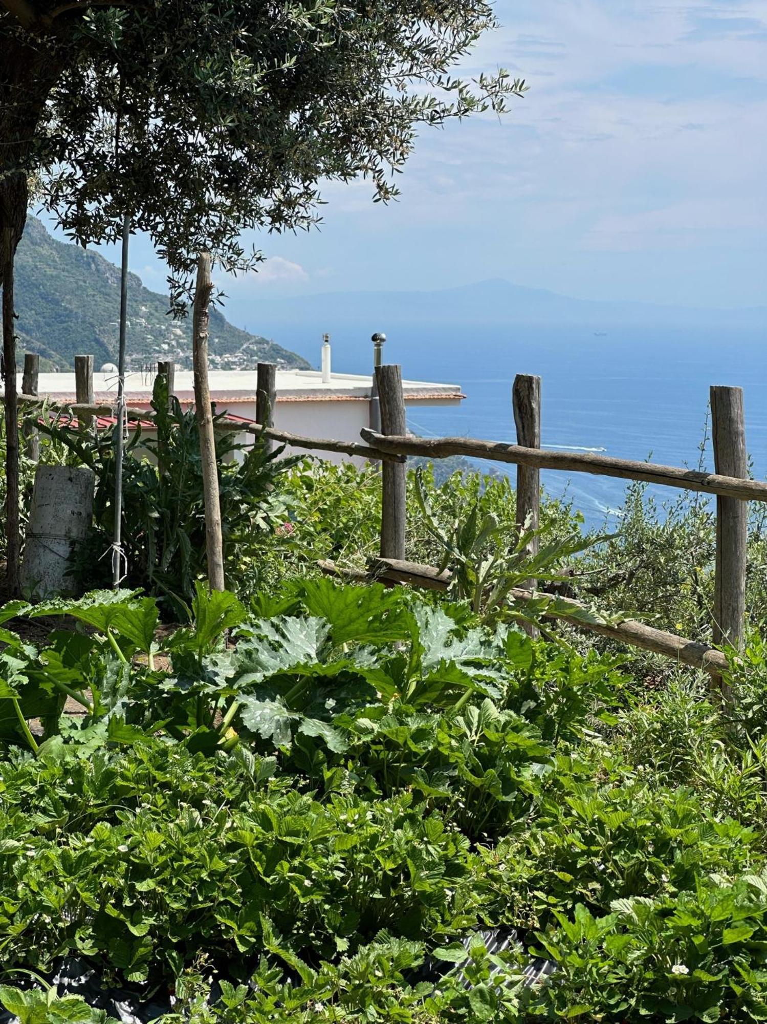 Casa Vacanze Il Libeccio Positano Eksteriør billede