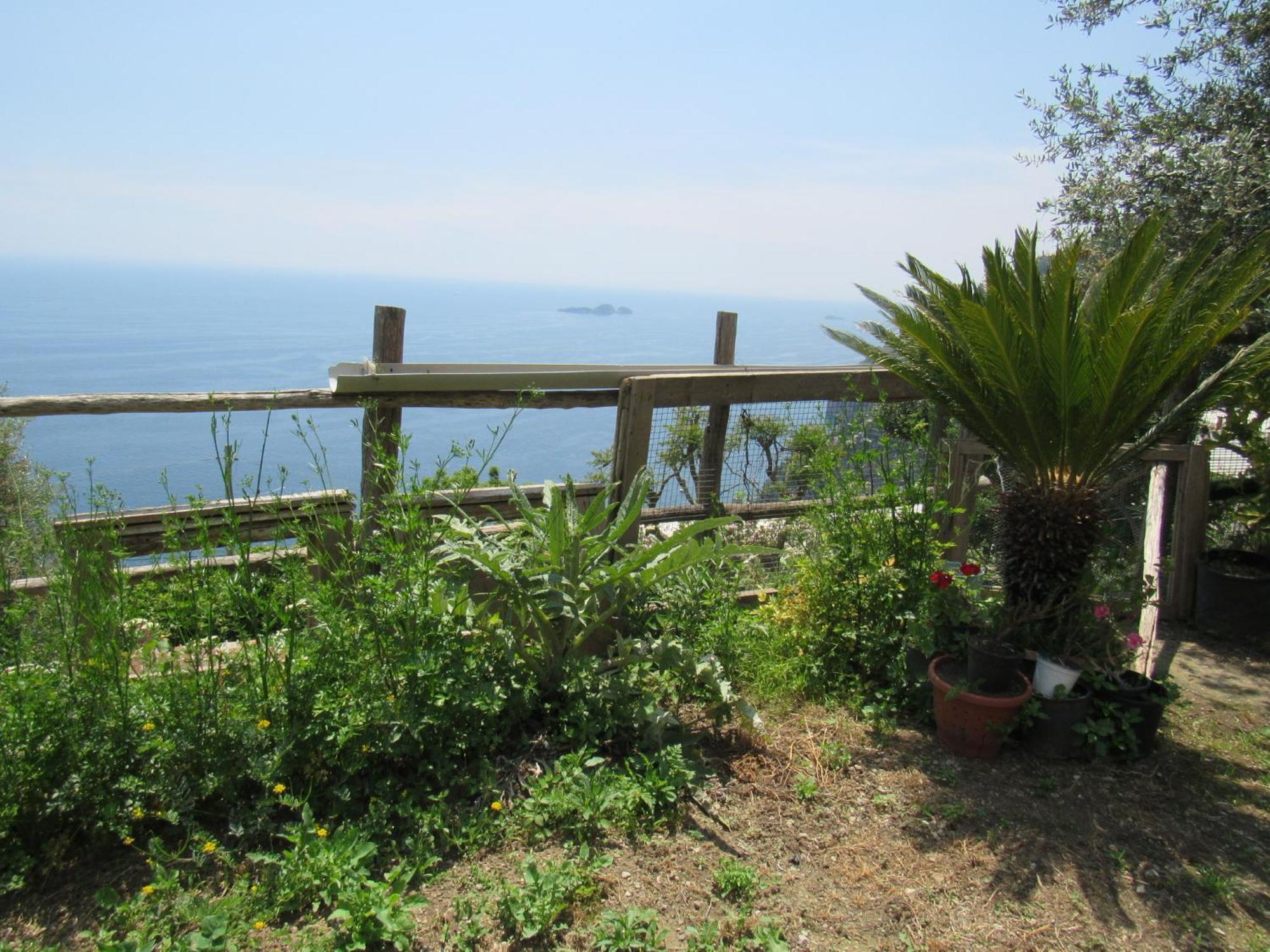 Casa Vacanze Il Libeccio Positano Eksteriør billede